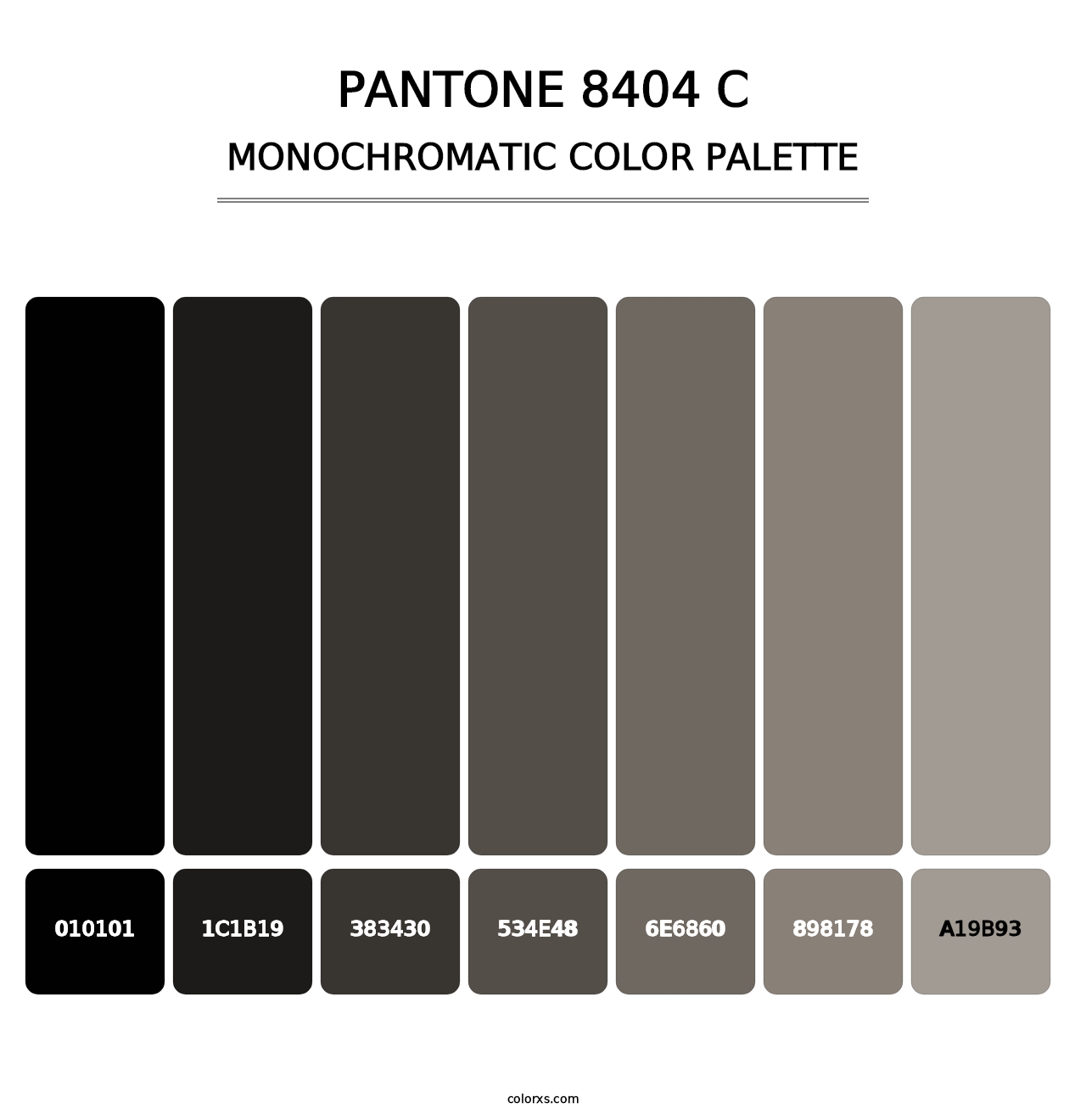 PANTONE 8404 C - Monochromatic Color Palette