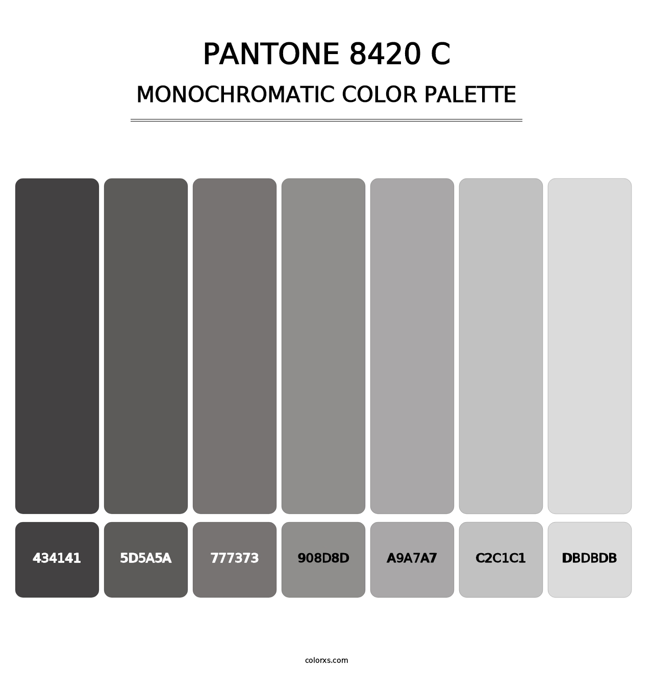 PANTONE 8420 C - Monochromatic Color Palette