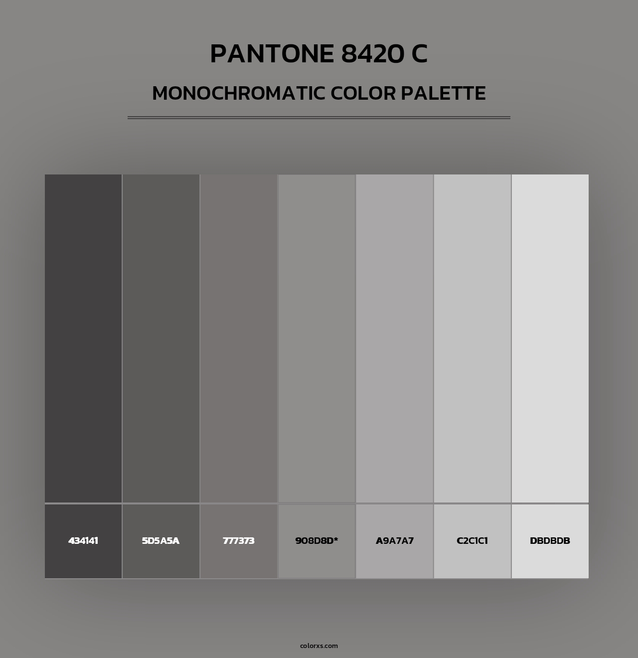 PANTONE 8420 C - Monochromatic Color Palette
