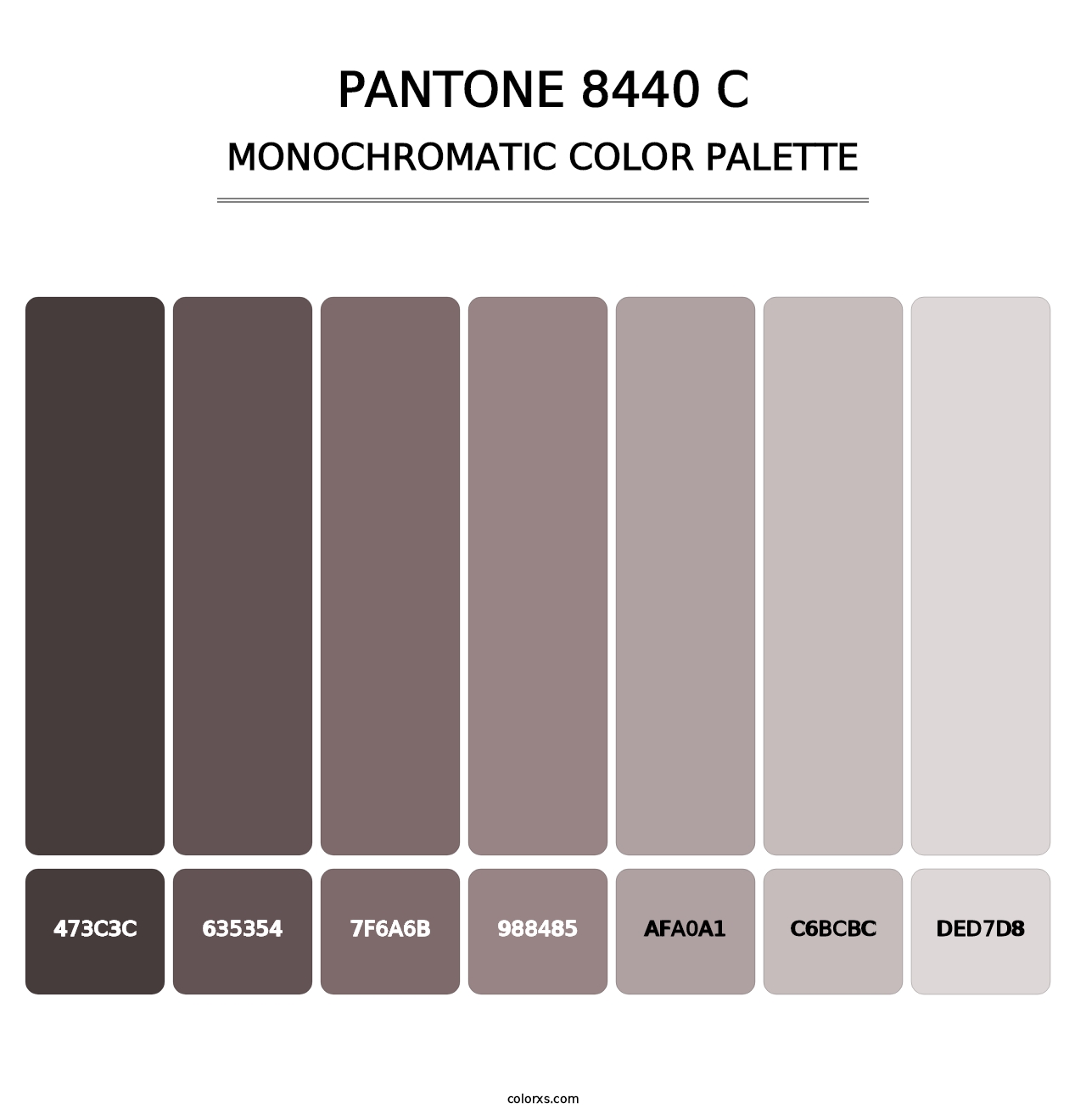 PANTONE 8440 C - Monochromatic Color Palette