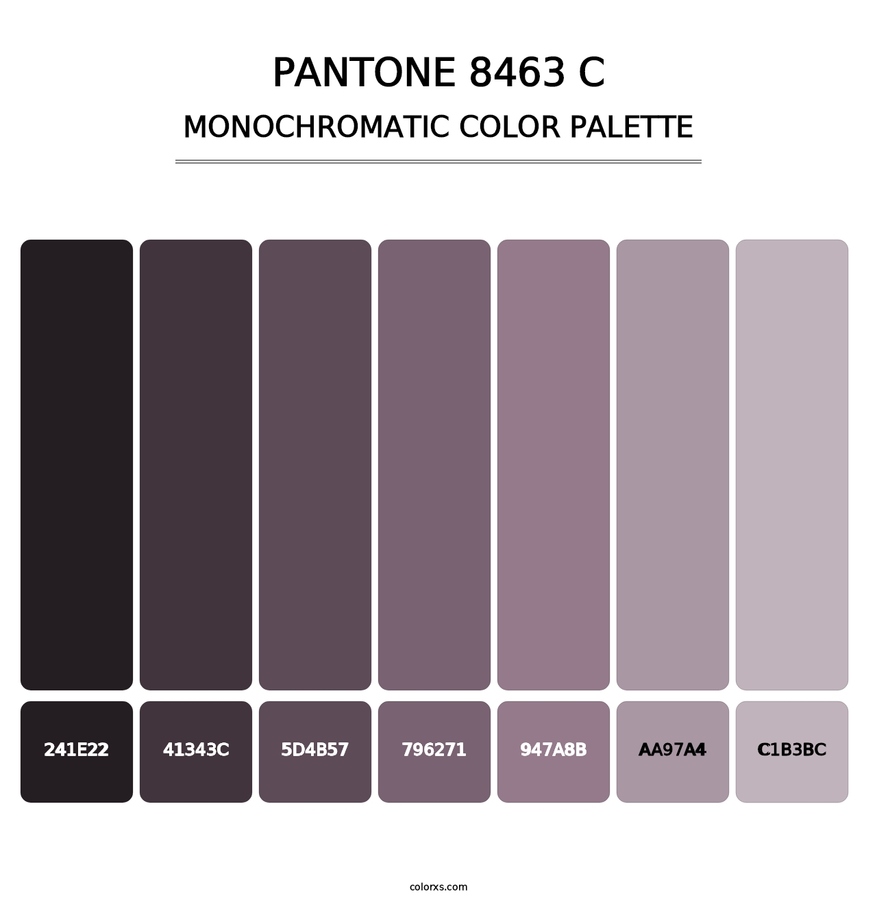 PANTONE 8463 C - Monochromatic Color Palette