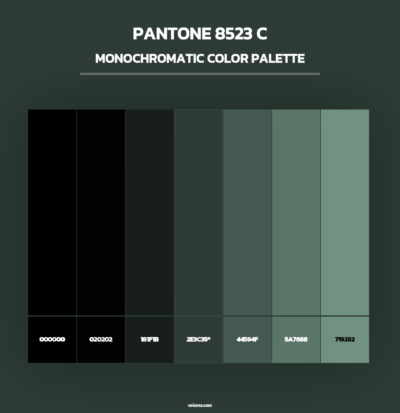 PANTONE 8523 C - Monochromatic Color Palette