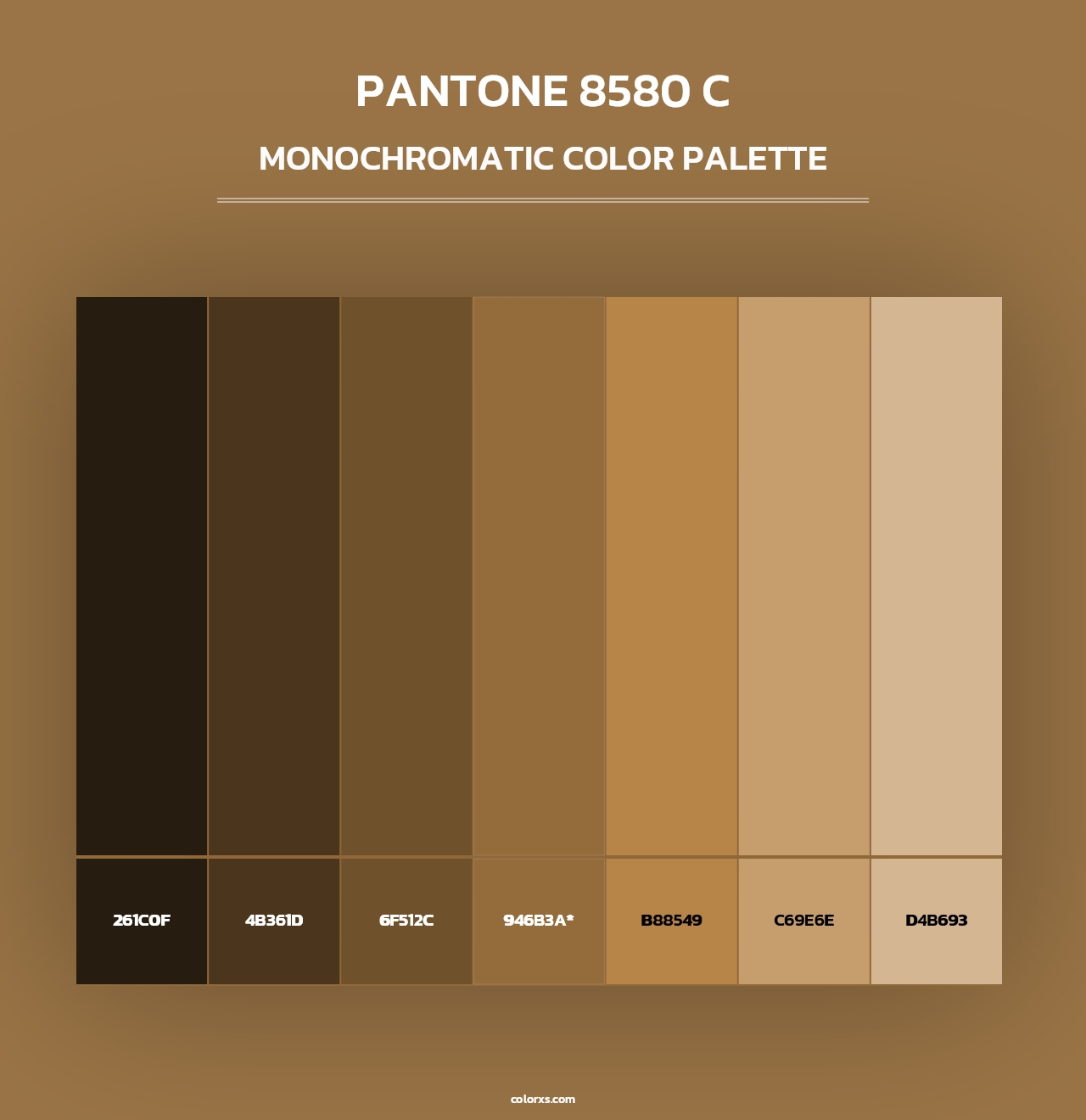 PANTONE 8580 C - Monochromatic Color Palette
