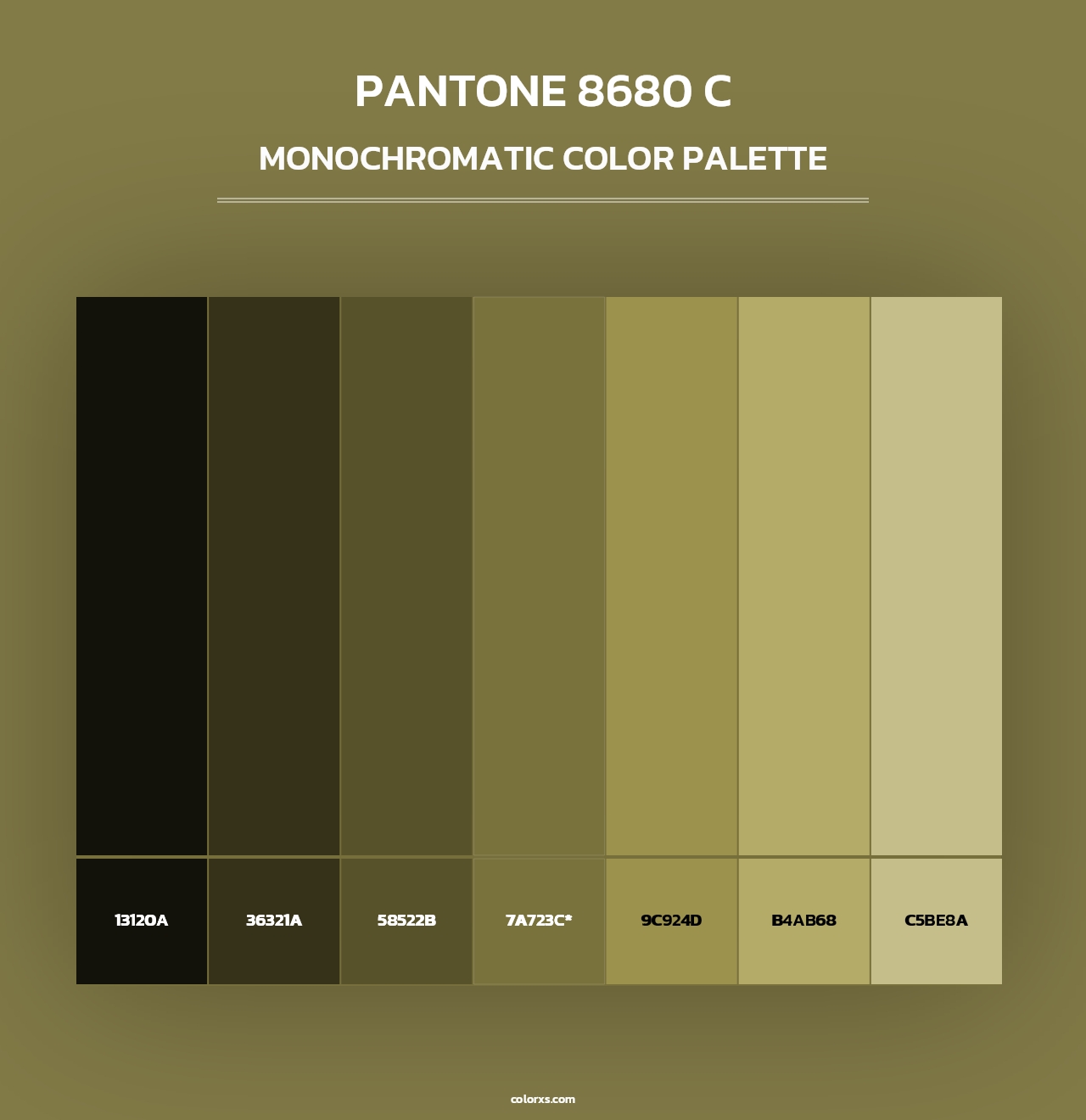 PANTONE 8680 C - Monochromatic Color Palette