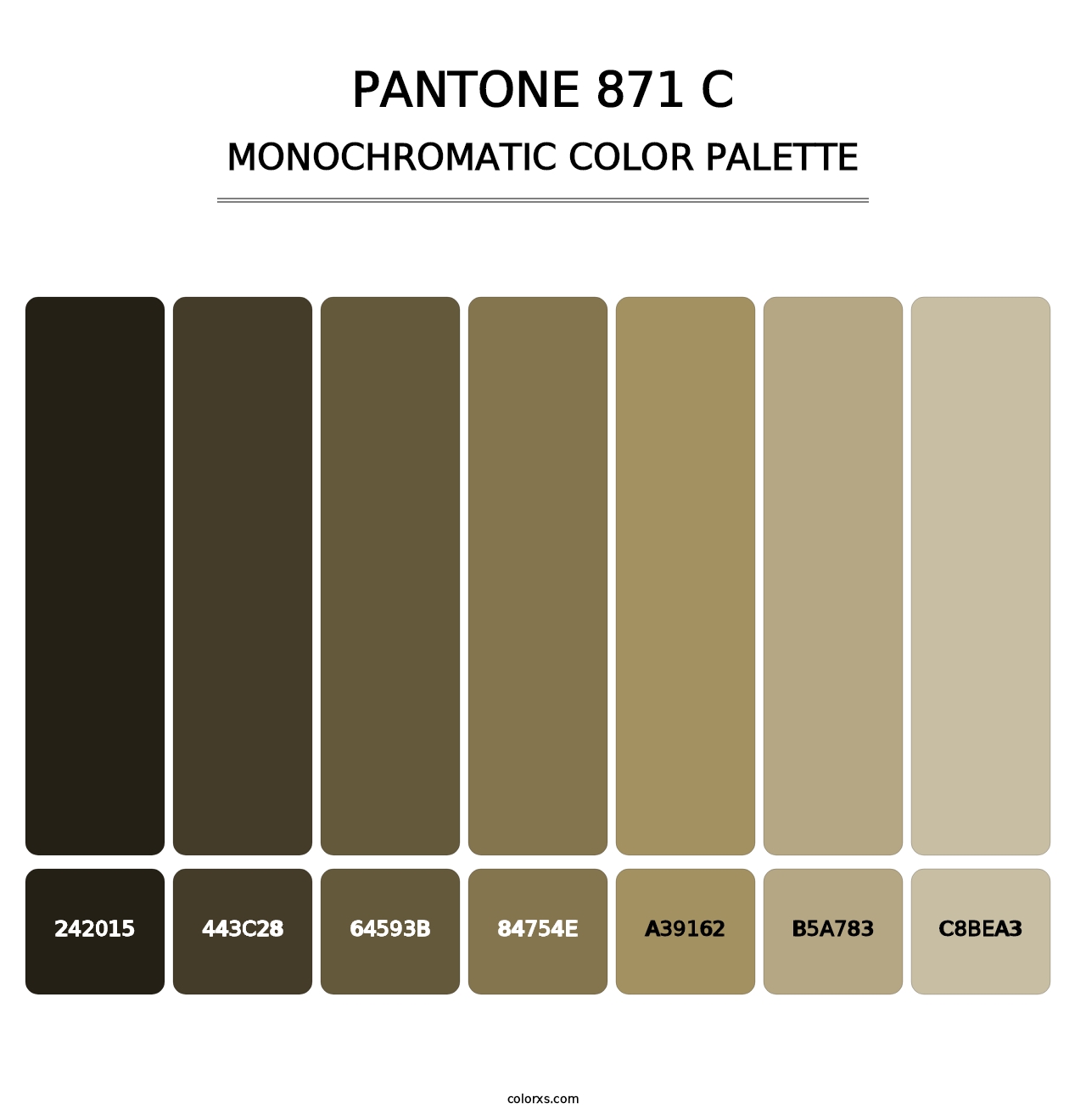 PANTONE 871 C - Monochromatic Color Palette