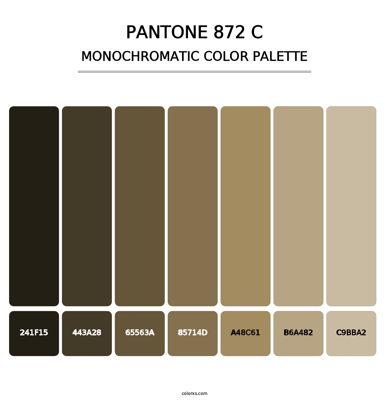 PANTONE 872 C - Monochromatic Color Palette