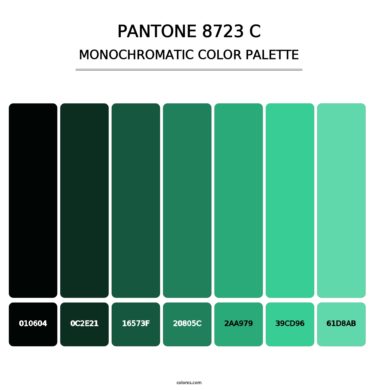 PANTONE 8723 C - Monochromatic Color Palette