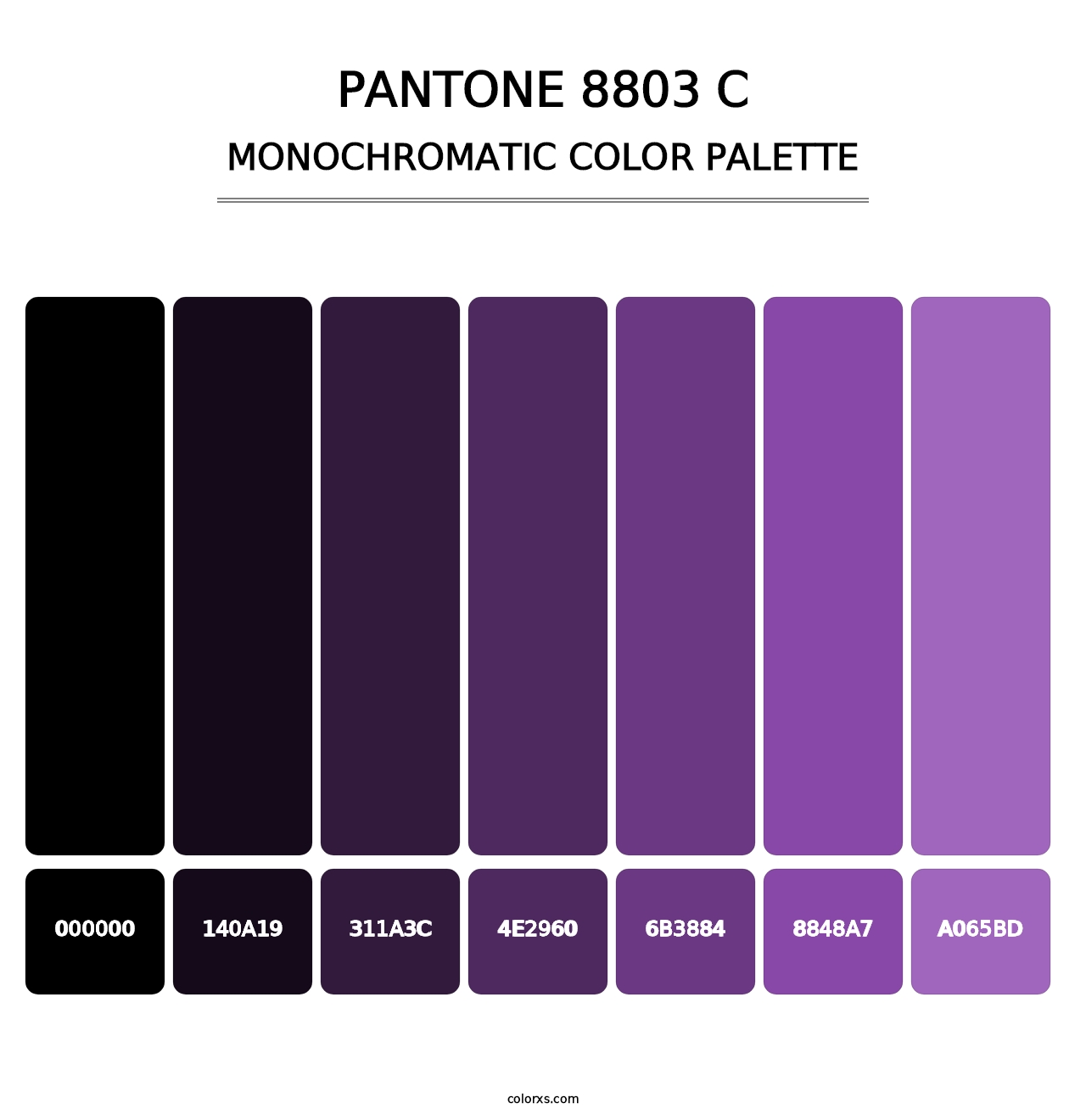 PANTONE 8803 C - Monochromatic Color Palette