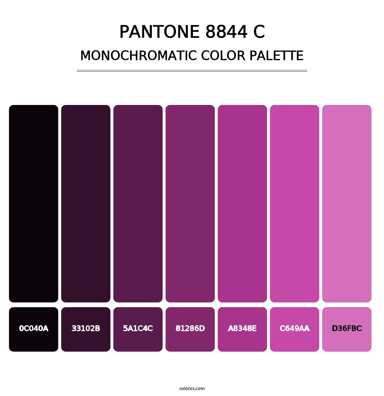 PANTONE 8844 C - Monochromatic Color Palette