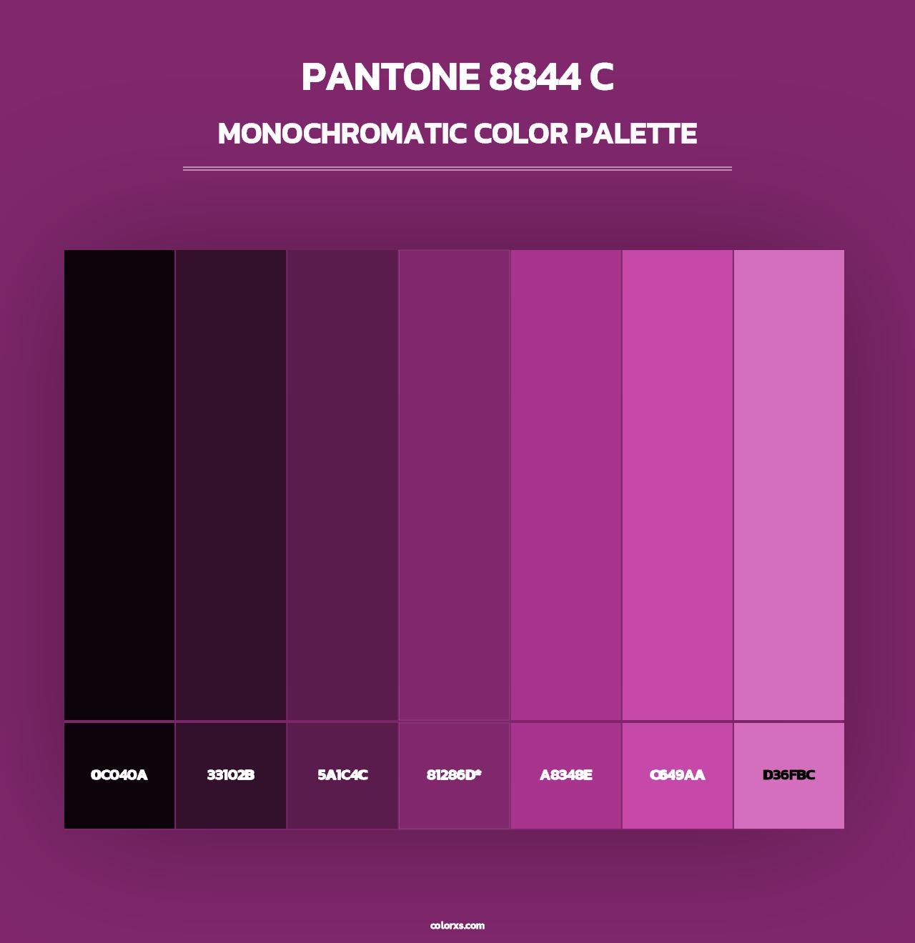 PANTONE 8844 C - Monochromatic Color Palette