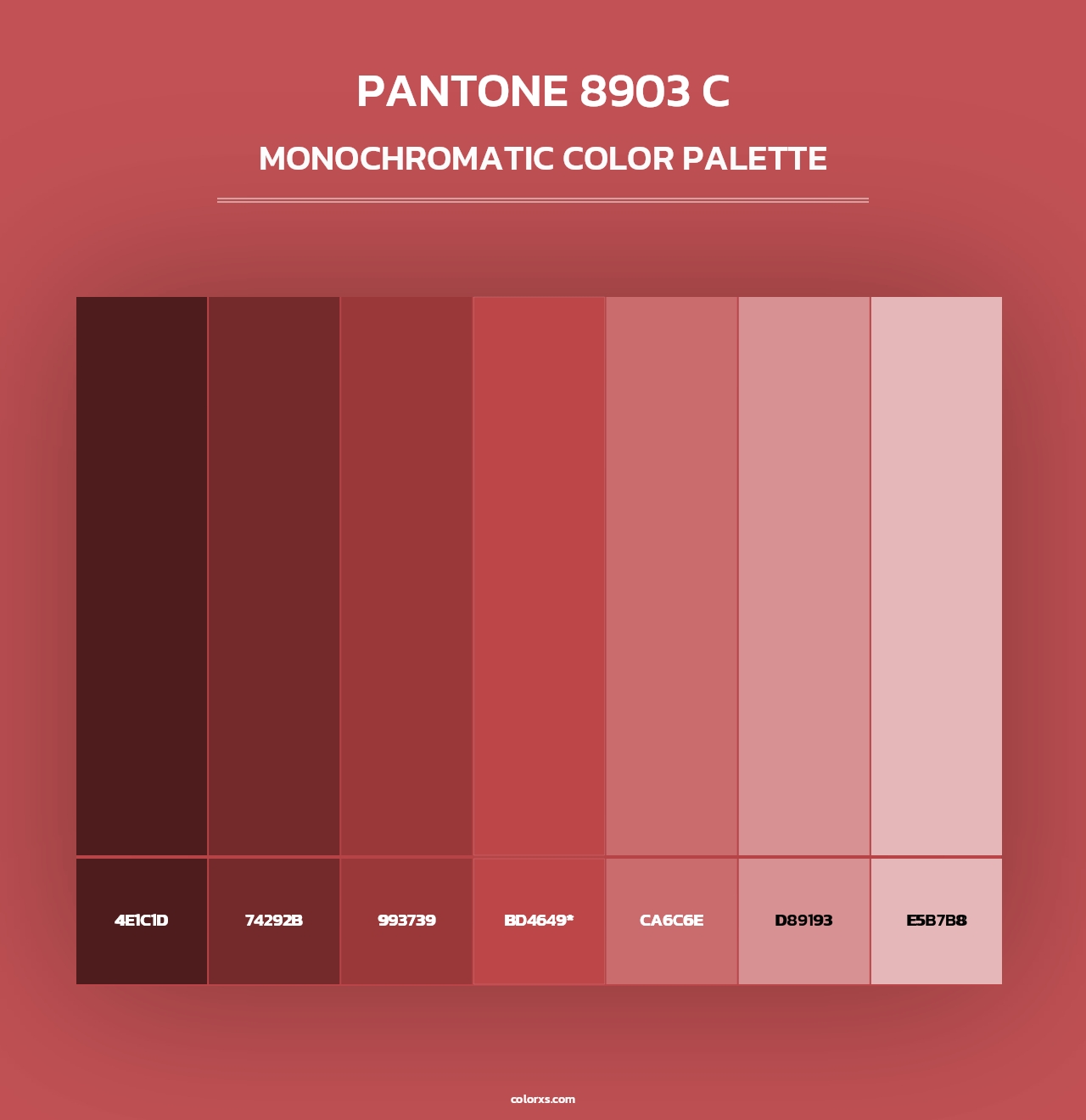 PANTONE 8903 C - Monochromatic Color Palette