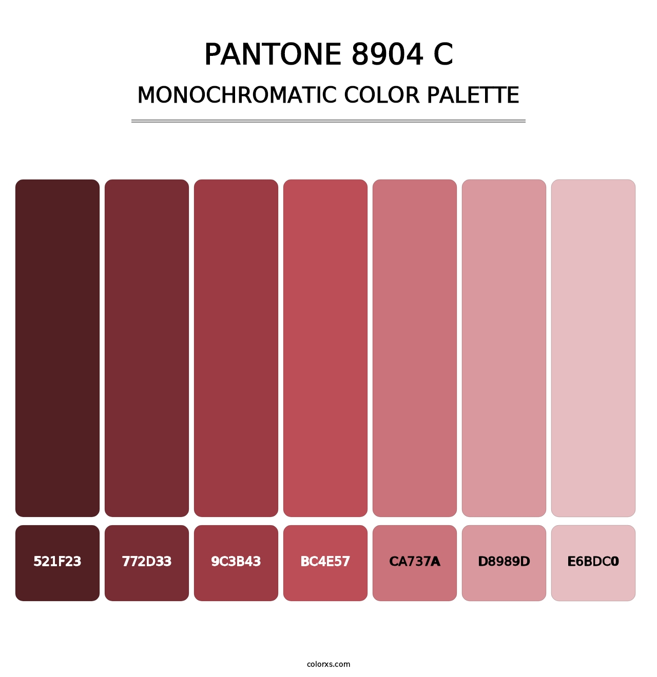 PANTONE 8904 C - Monochromatic Color Palette