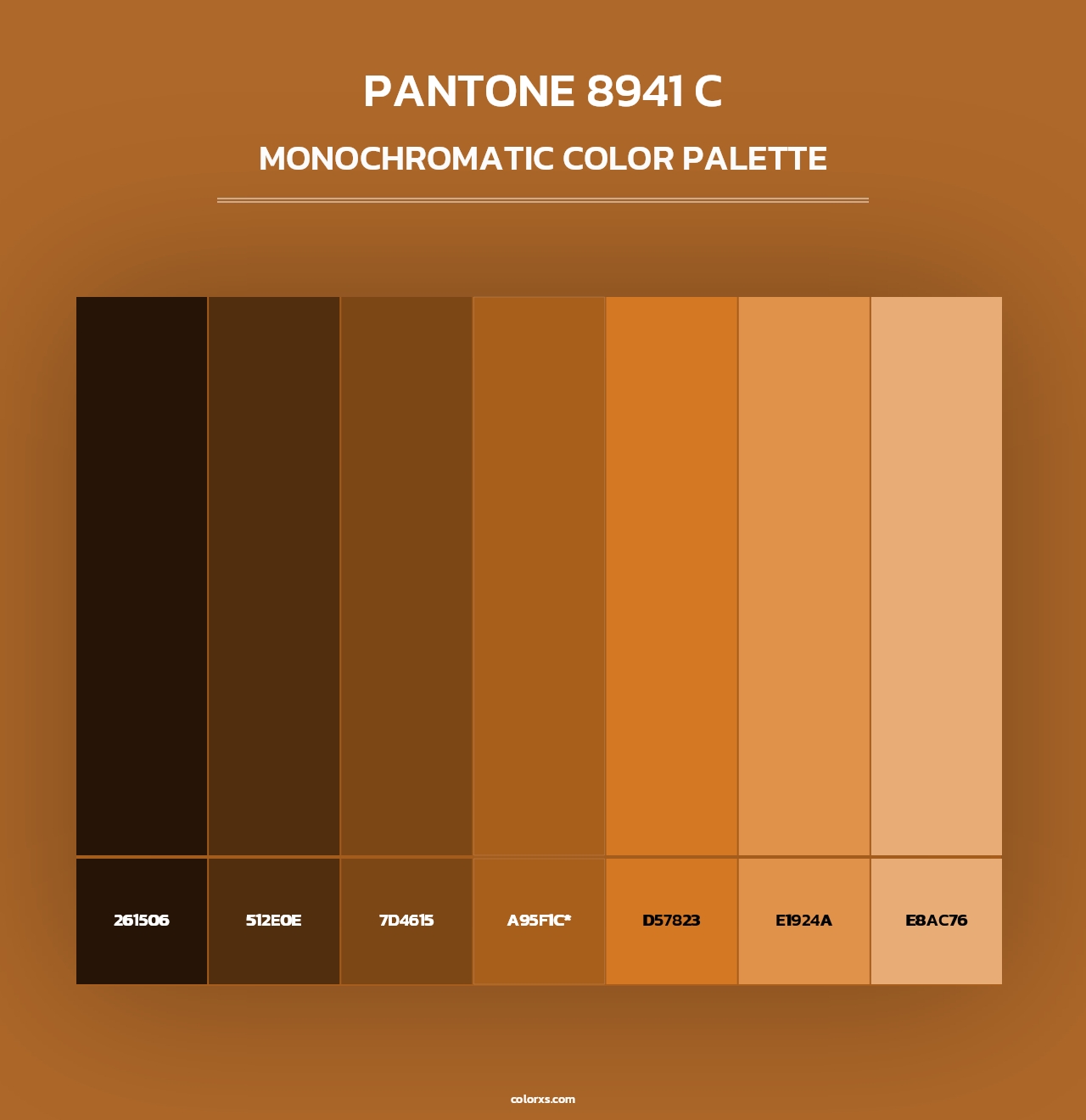 PANTONE 8941 C - Monochromatic Color Palette