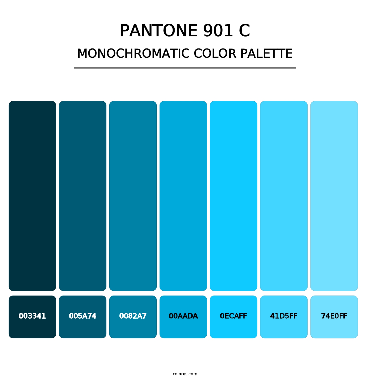 PANTONE 901 C - Monochromatic Color Palette