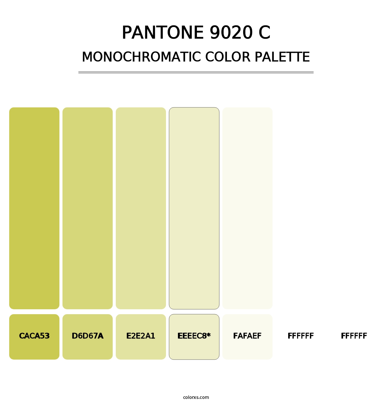 PANTONE 9020 C - Monochromatic Color Palette