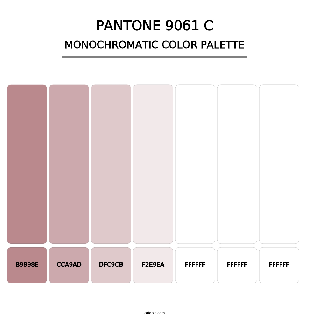 PANTONE 9061 C - Monochromatic Color Palette
