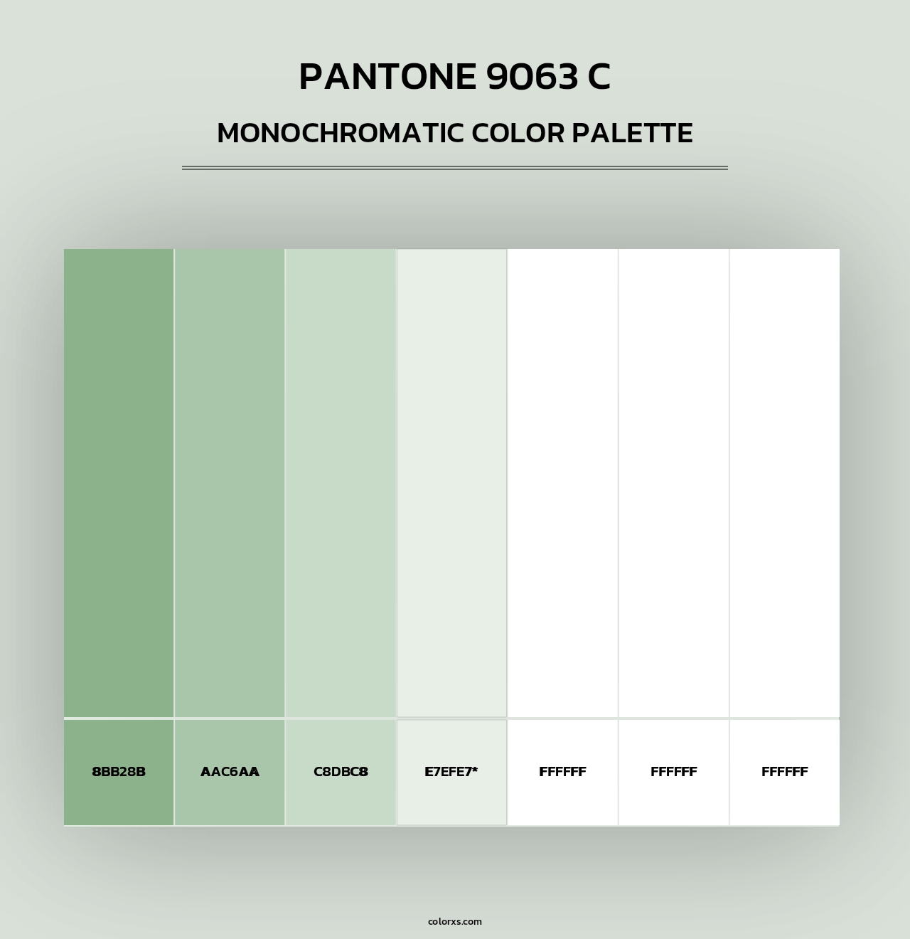 PANTONE 9063 C - Monochromatic Color Palette