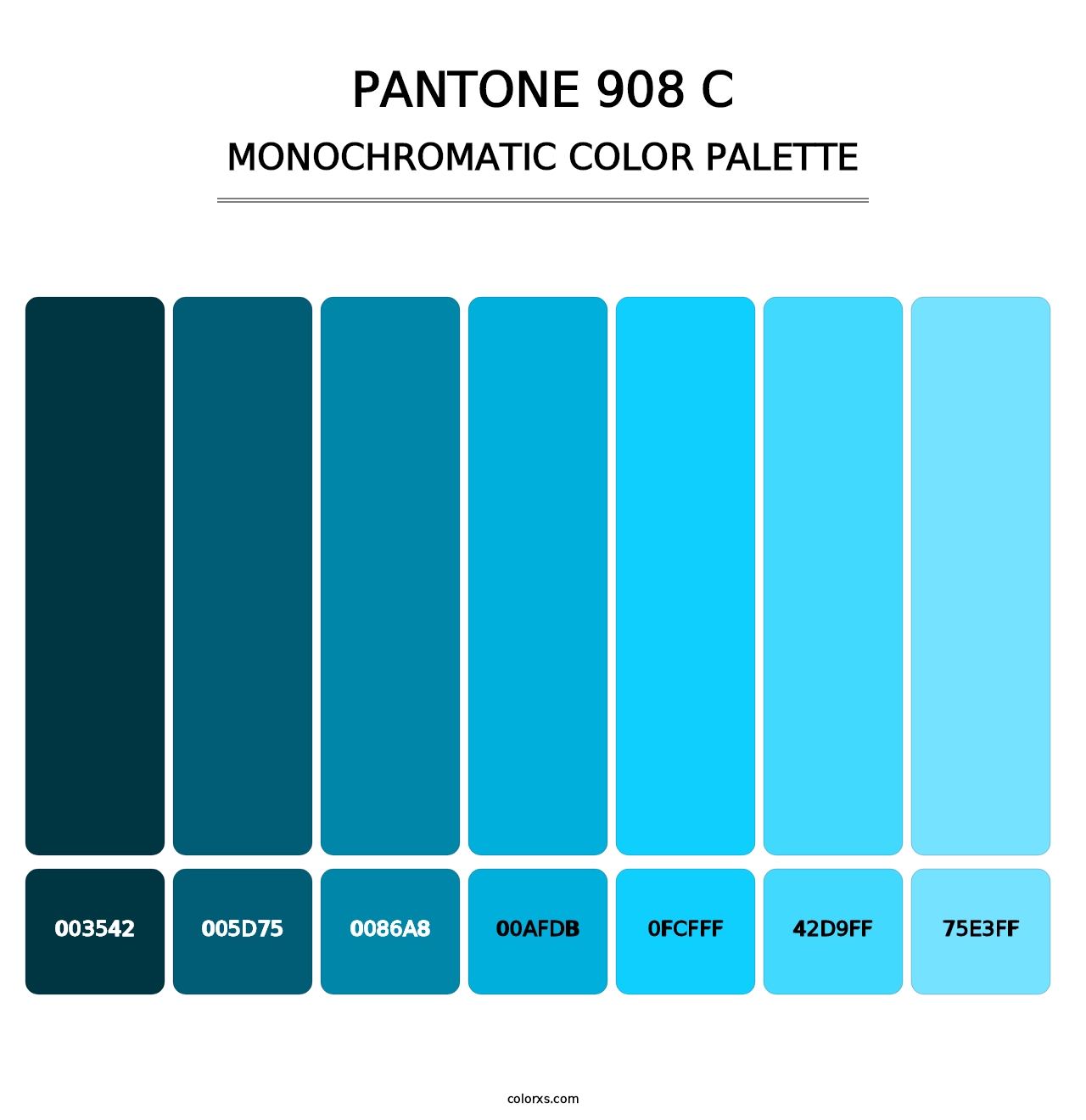 PANTONE 908 C - Monochromatic Color Palette