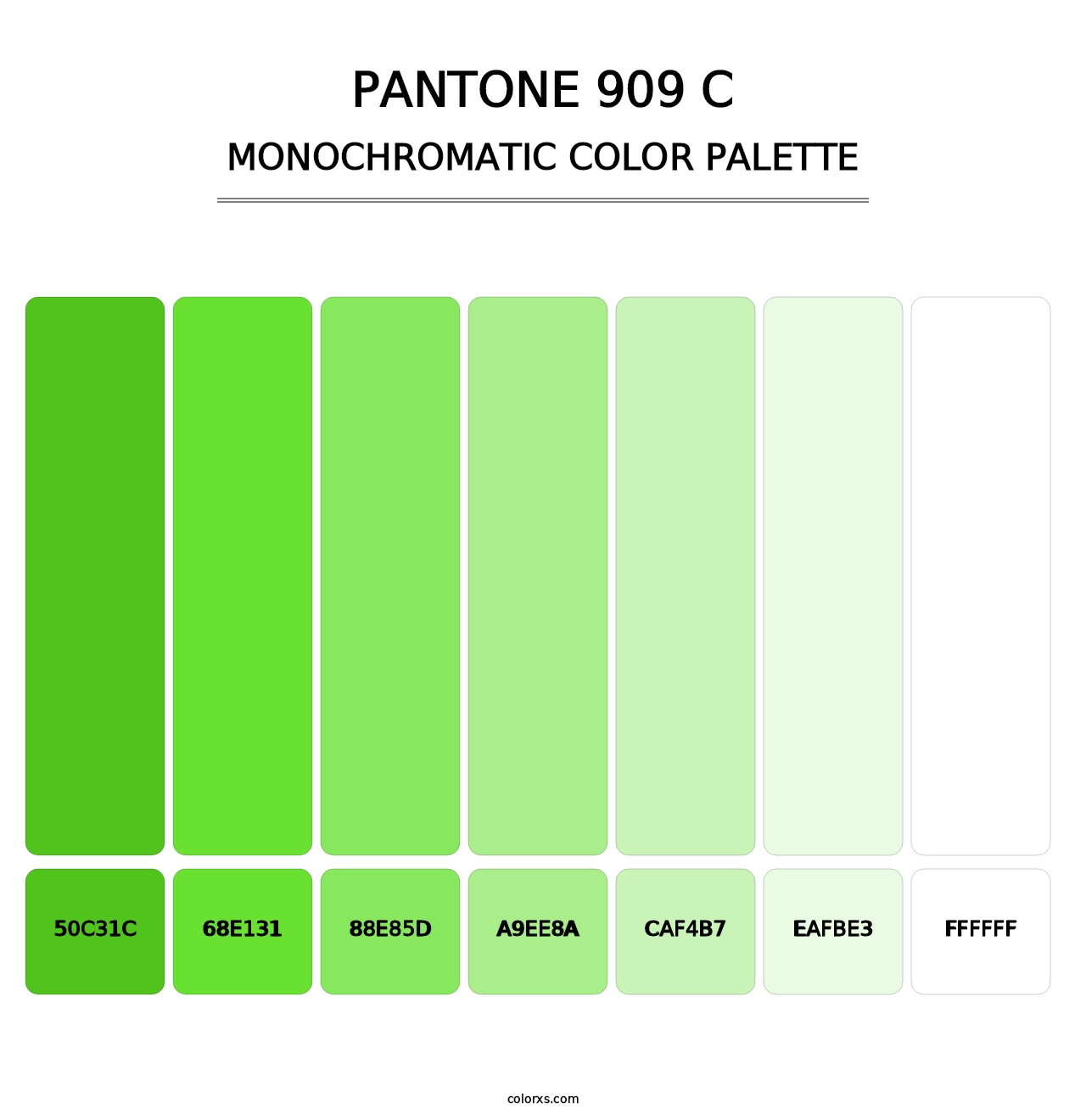 PANTONE 909 C - Monochromatic Color Palette