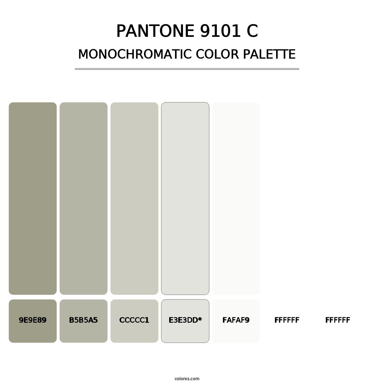 PANTONE 9101 C - Monochromatic Color Palette