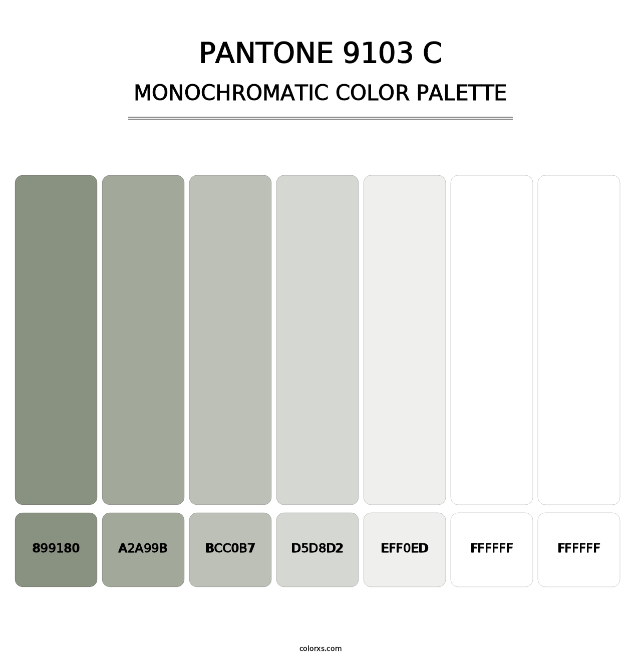 PANTONE 9103 C - Monochromatic Color Palette
