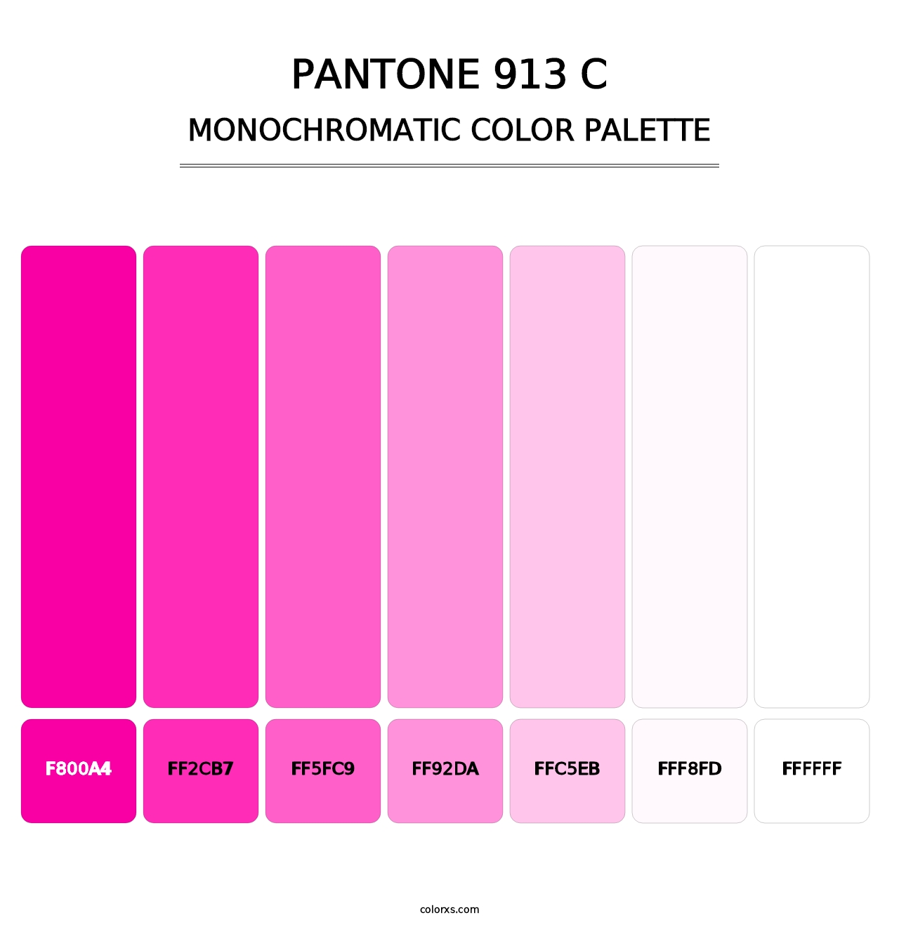 PANTONE 913 C - Monochromatic Color Palette