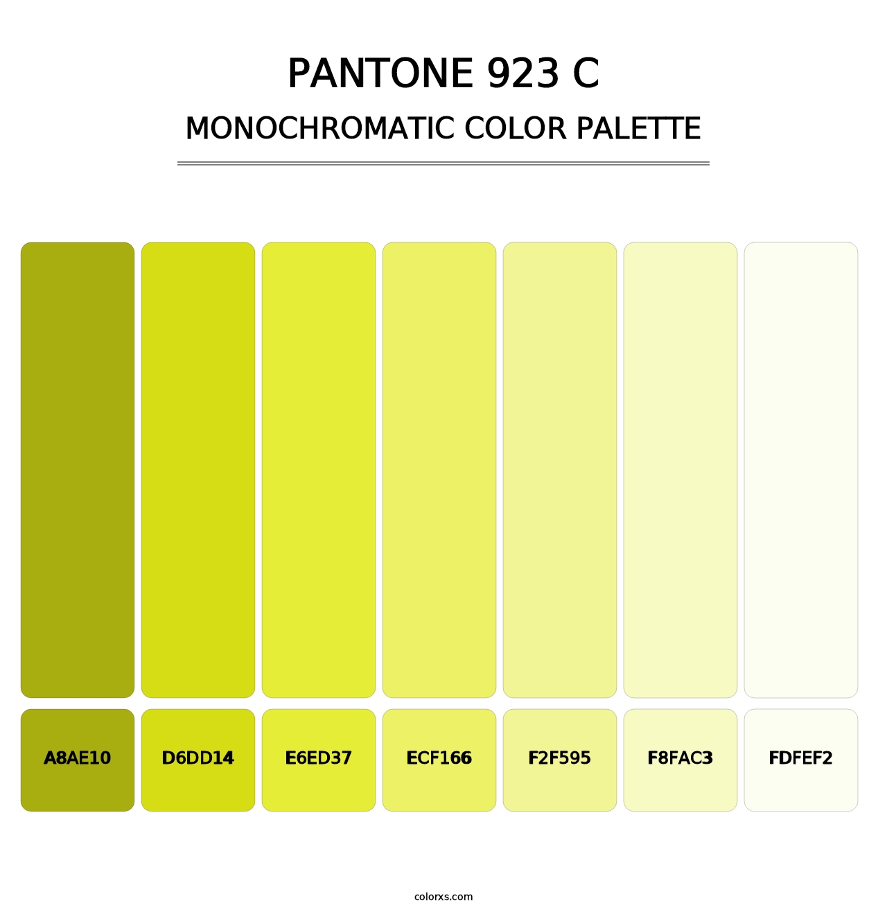 PANTONE 923 C - Monochromatic Color Palette