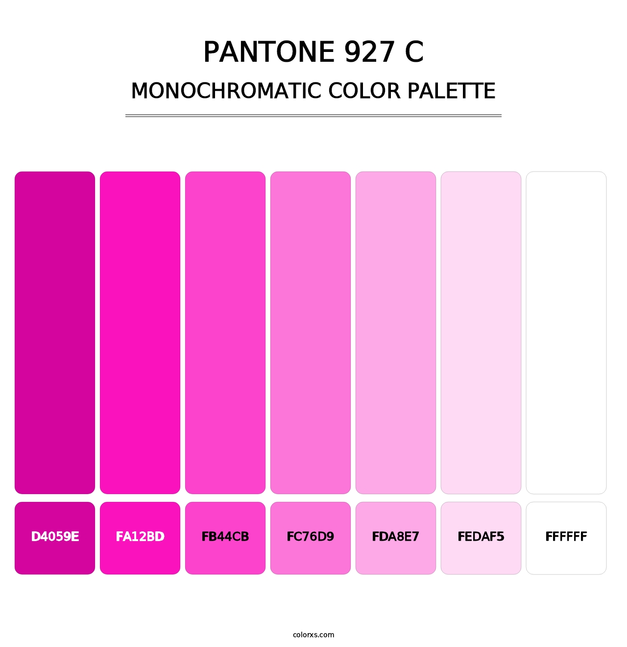PANTONE 927 C - Monochromatic Color Palette