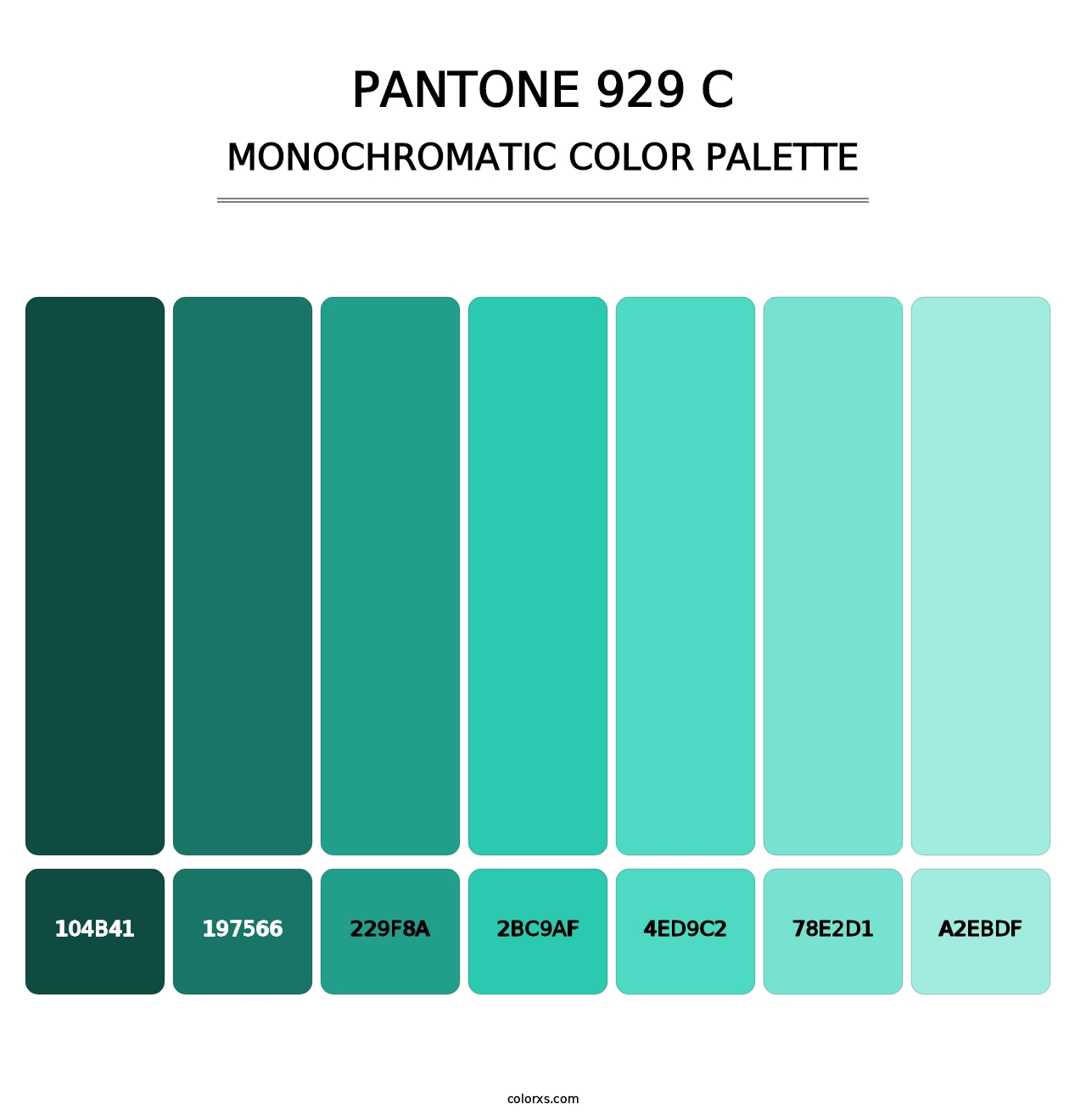 PANTONE 929 C - Monochromatic Color Palette