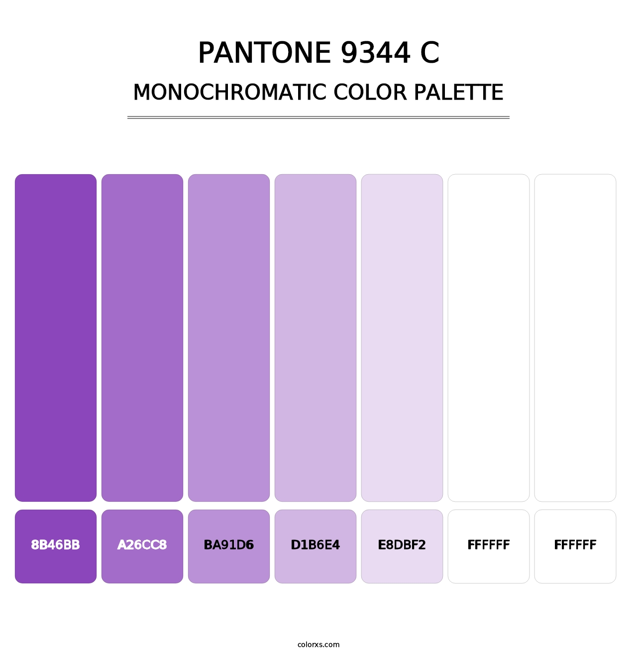 PANTONE 9344 C - Monochromatic Color Palette