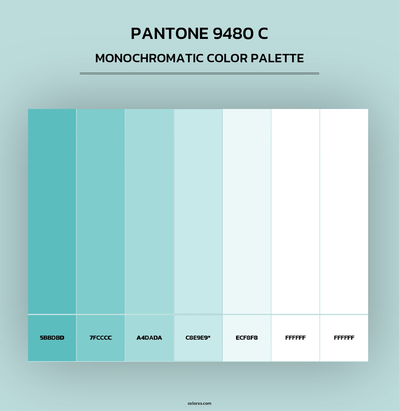 PANTONE 9480 C - Monochromatic Color Palette