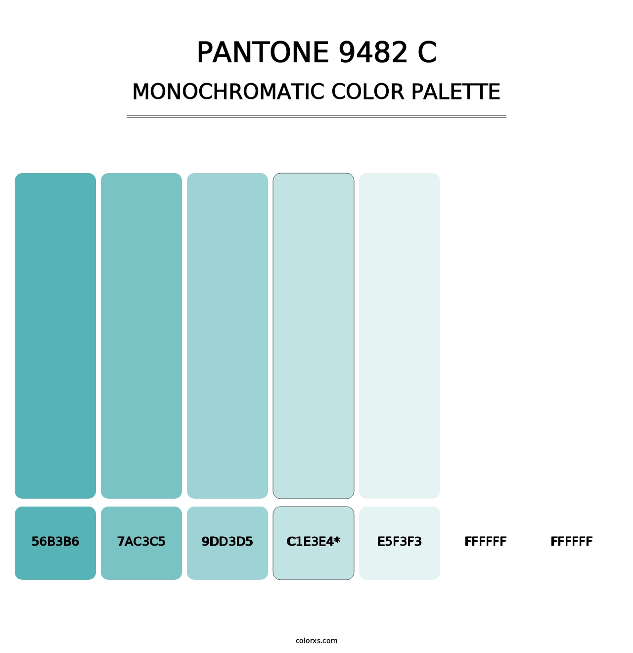 PANTONE 9482 C - Monochromatic Color Palette