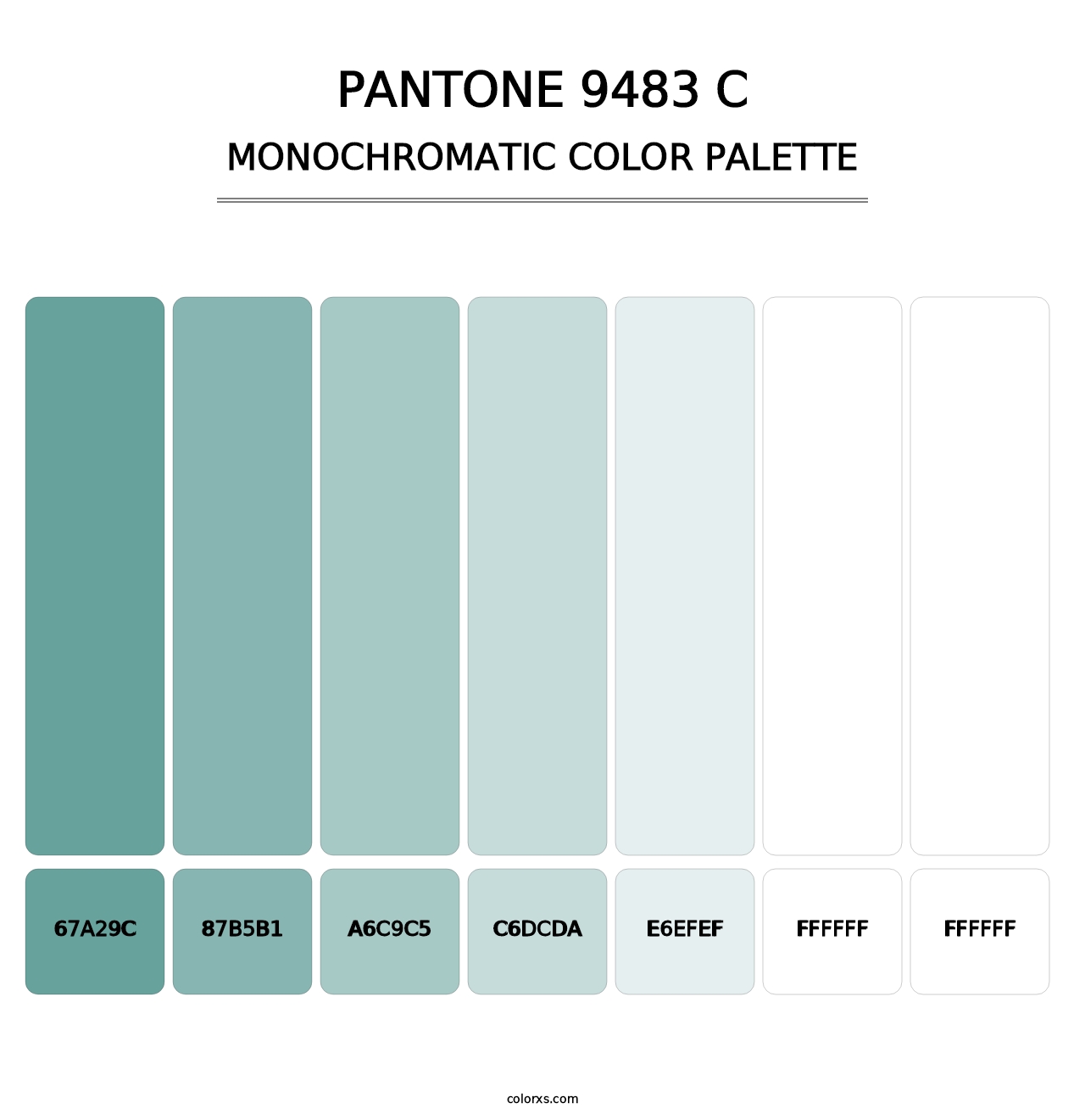 PANTONE 9483 C - Monochromatic Color Palette