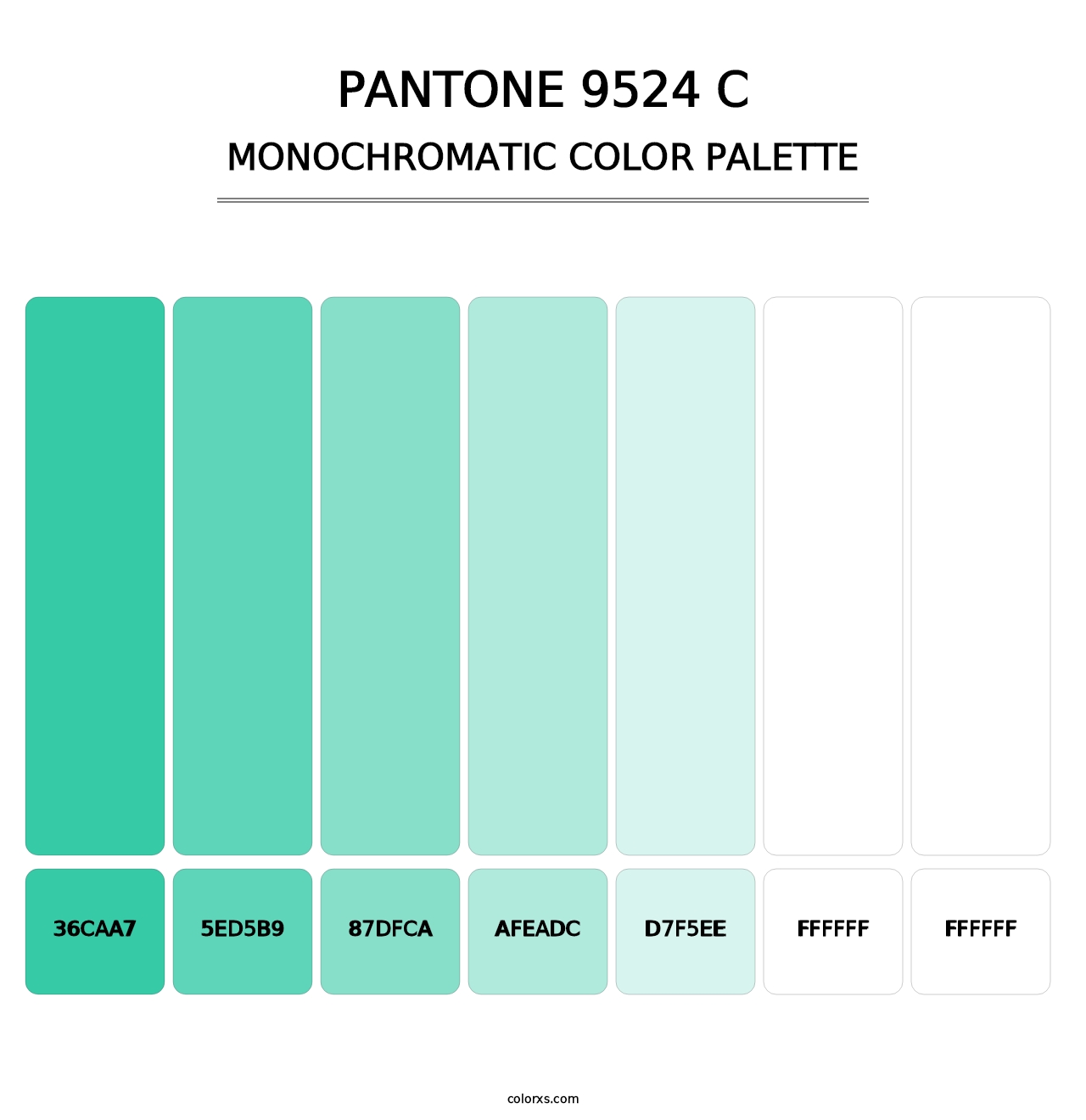 PANTONE 9524 C - Monochromatic Color Palette