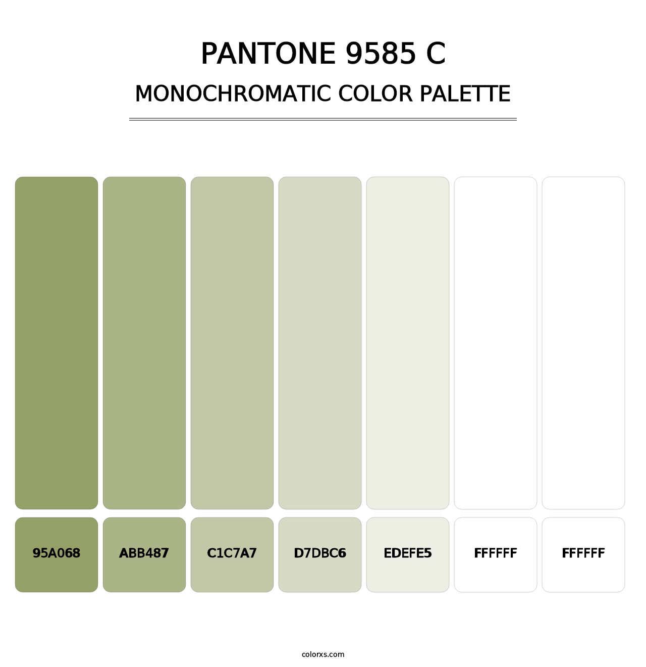 PANTONE 9585 C - Monochromatic Color Palette