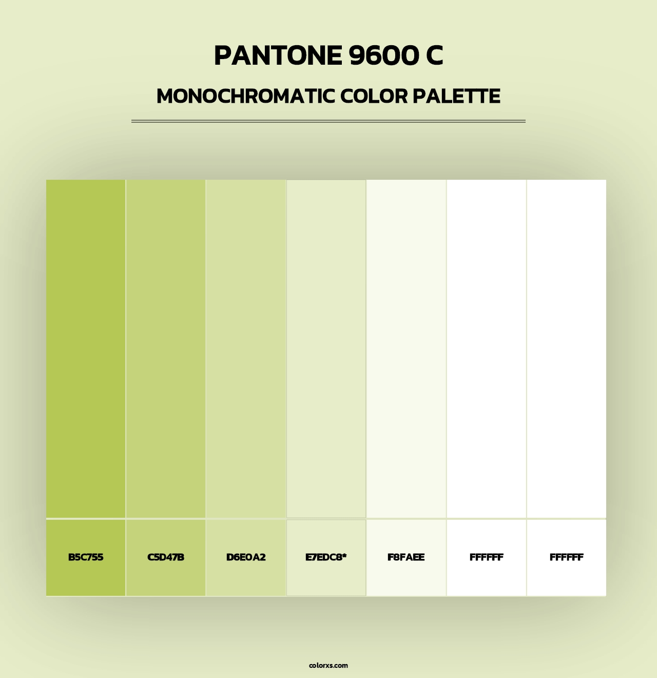 PANTONE 9600 C - Monochromatic Color Palette