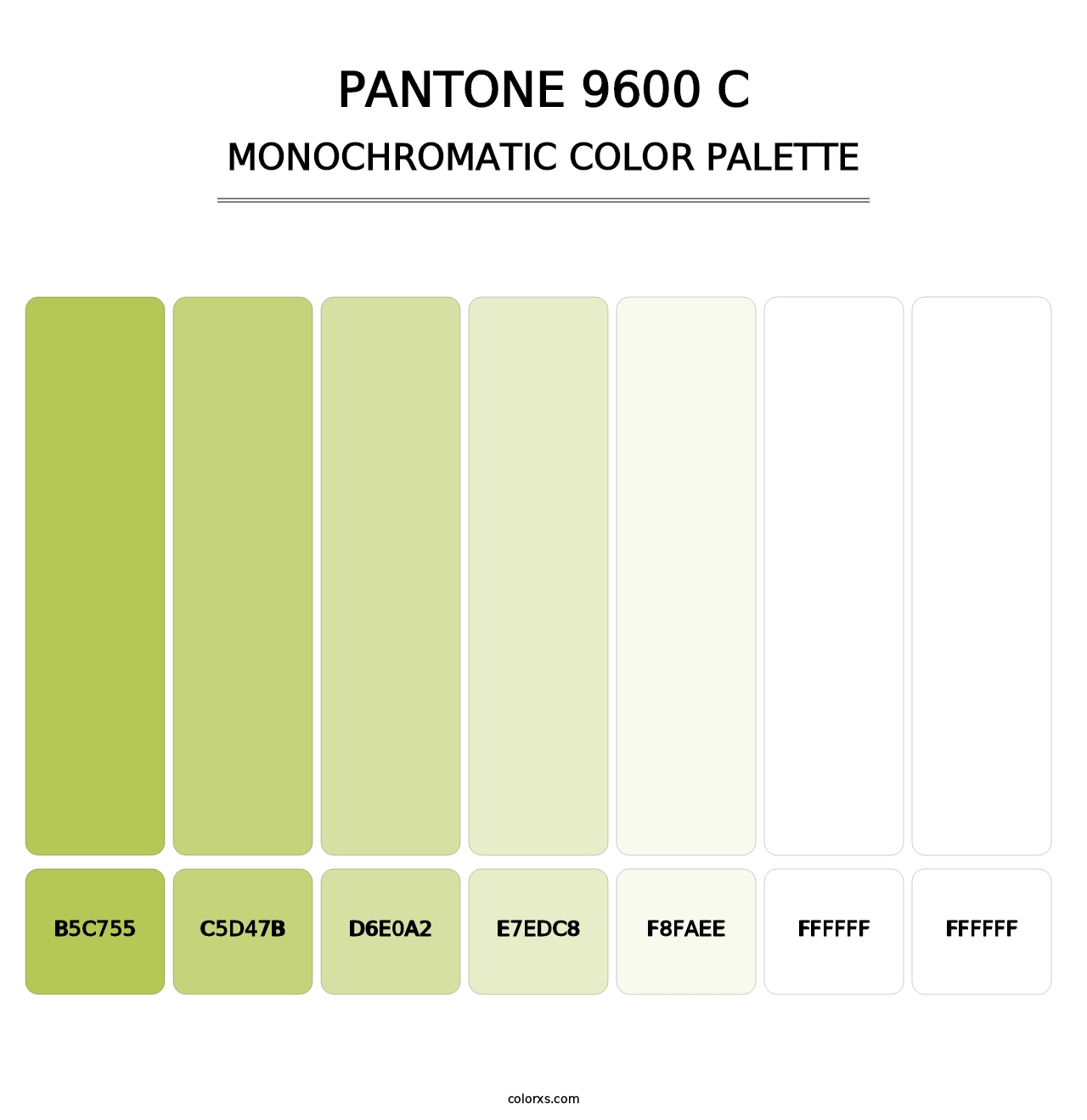 PANTONE 9600 C - Monochromatic Color Palette