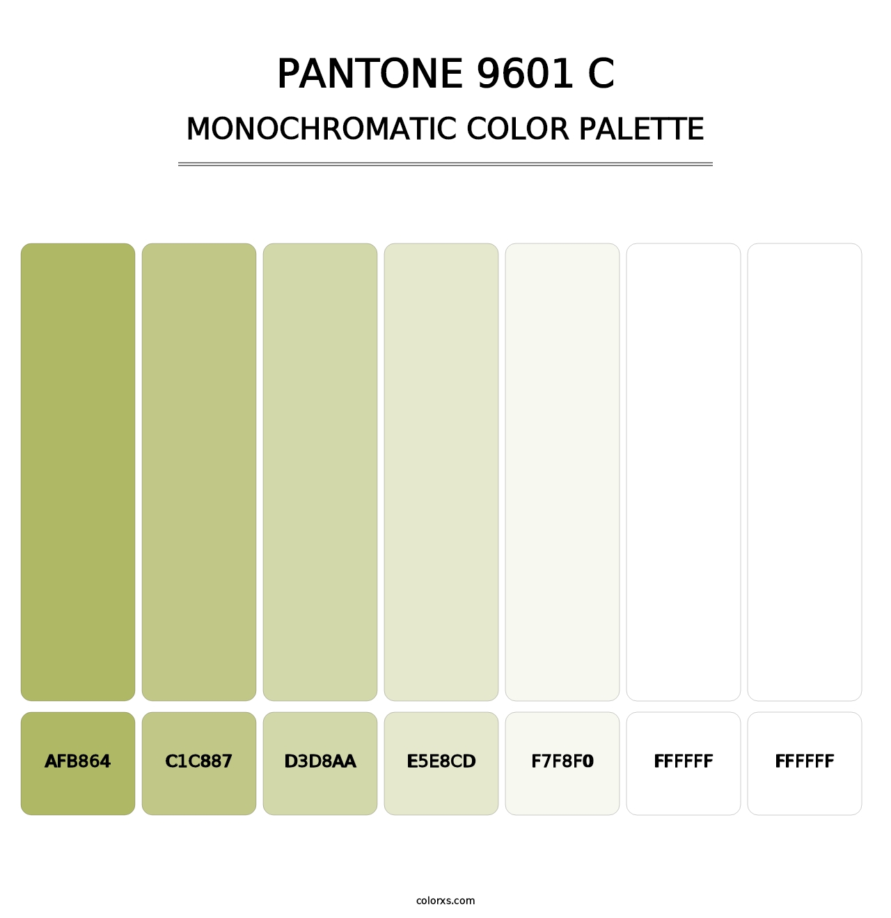 PANTONE 9601 C - Monochromatic Color Palette