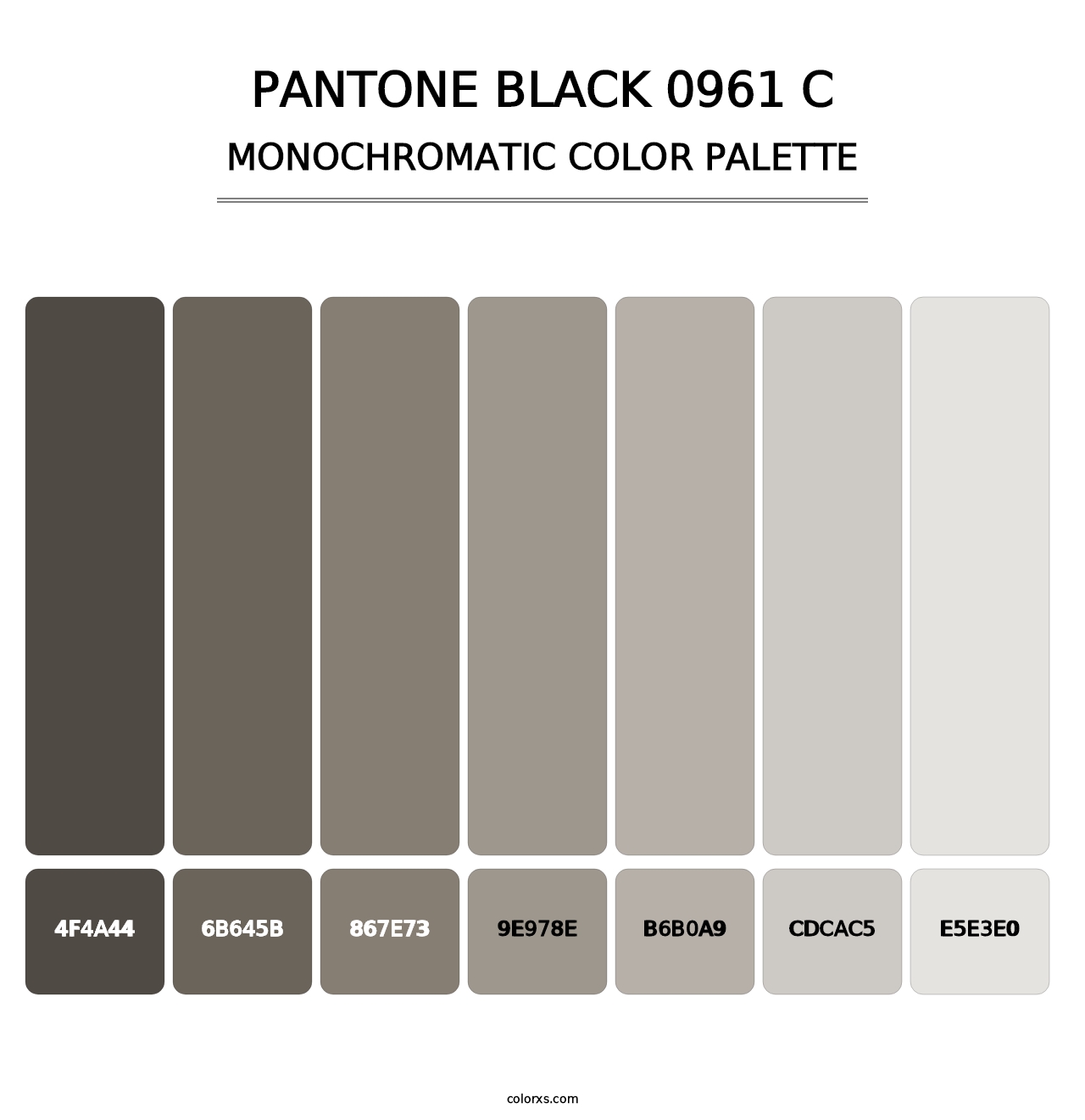 PANTONE Black 0961 C - Monochromatic Color Palette