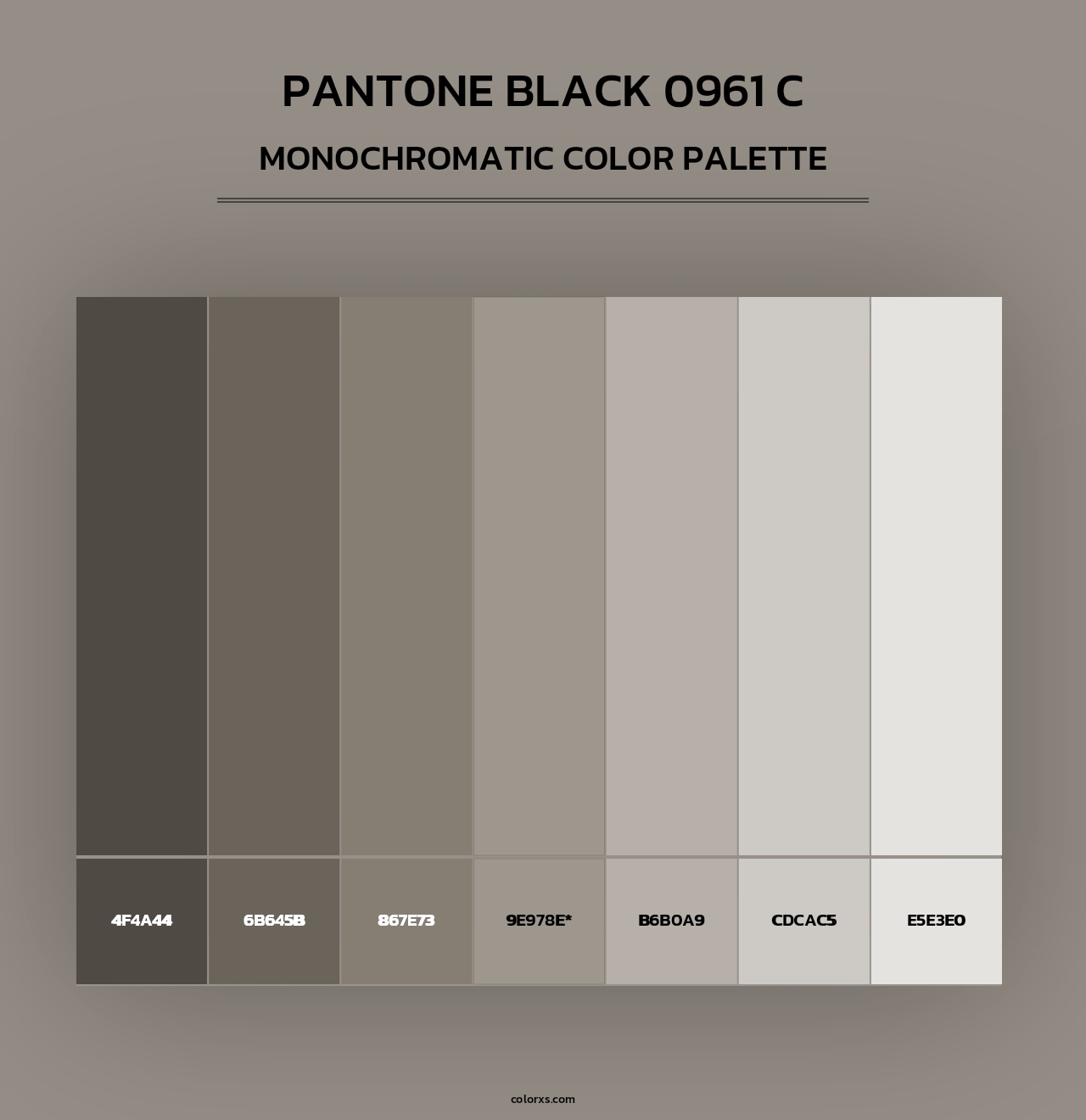 PANTONE Black 0961 C - Monochromatic Color Palette