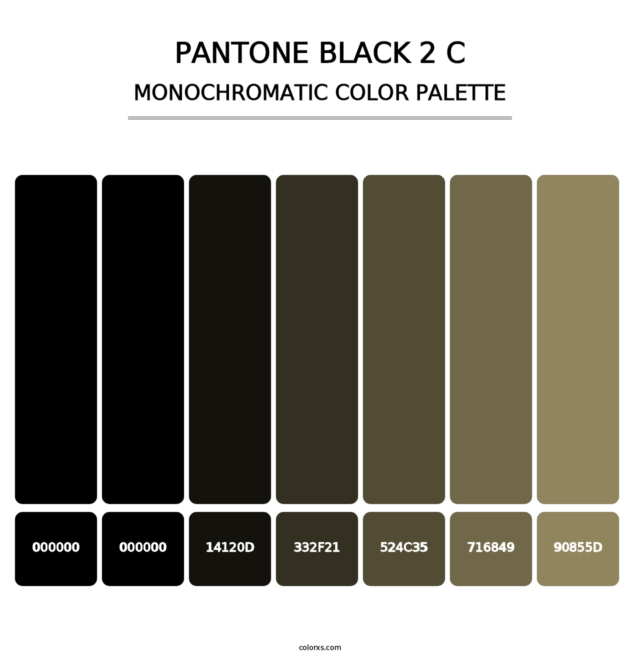 PANTONE Black 2 C - Monochromatic Color Palette