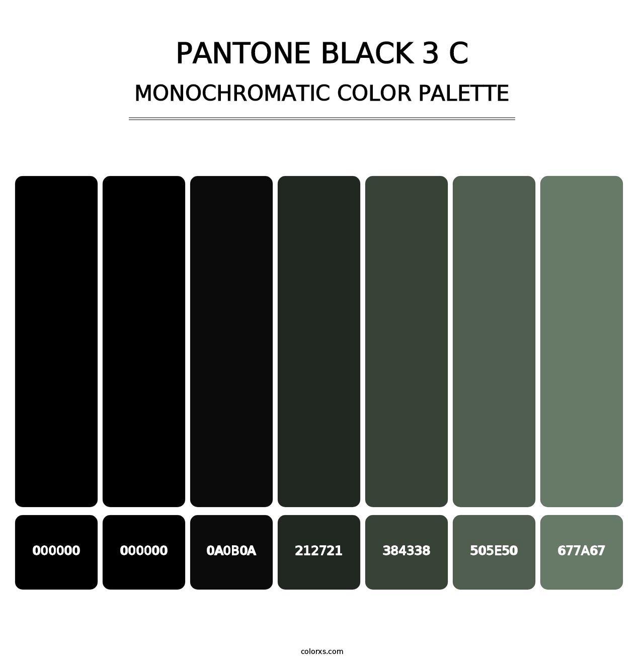PANTONE Black 3 C - Monochromatic Color Palette