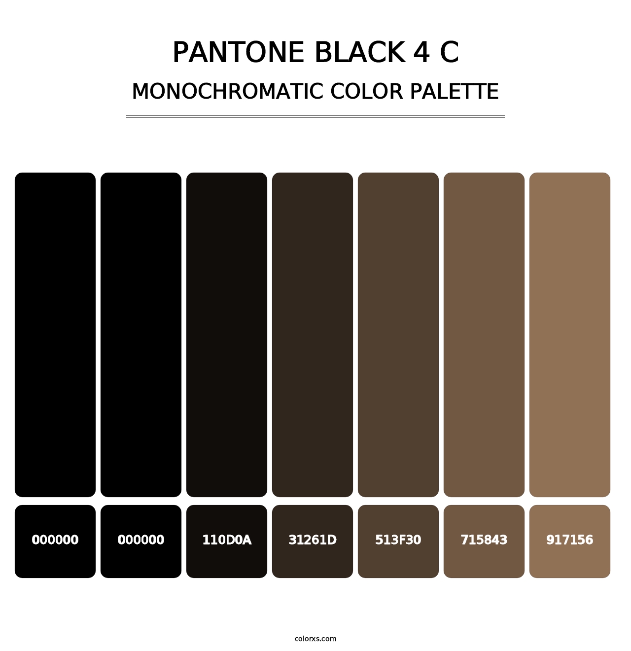 PANTONE Black 4 C - Monochromatic Color Palette