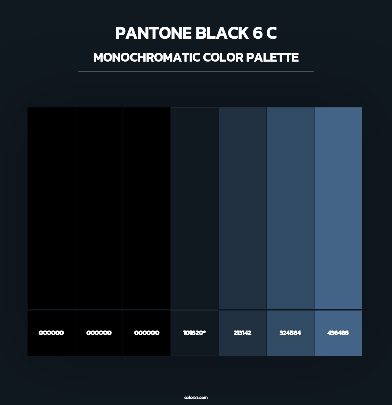 PANTONE Black 6 C - Monochromatic Color Palette