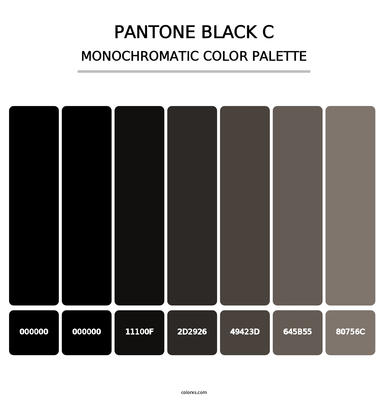 PANTONE Black C - Monochromatic Color Palette