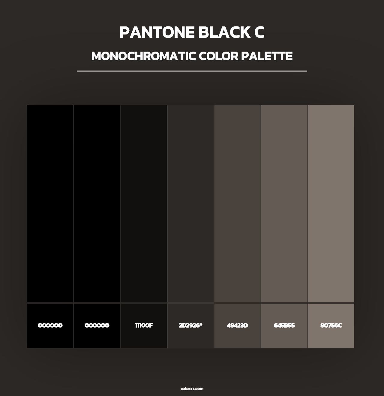 PANTONE Black C - Monochromatic Color Palette