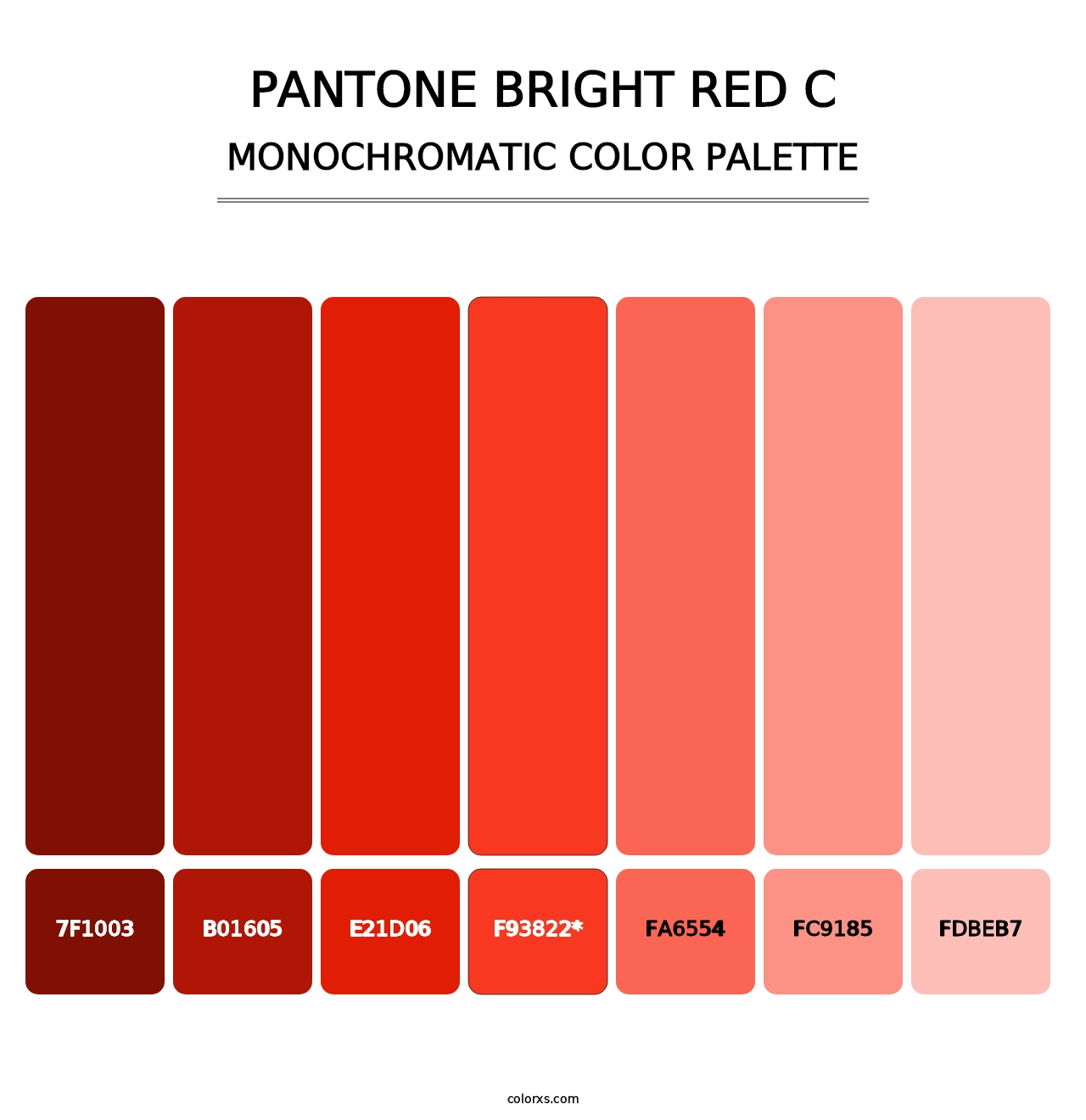 PANTONE Bright Red C - Monochromatic Color Palette