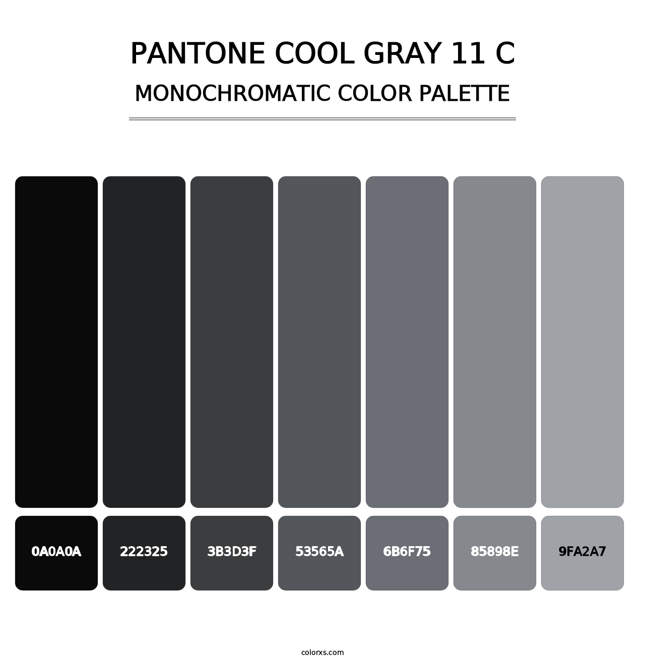 PANTONE Cool Gray 11 C - Monochromatic Color Palette