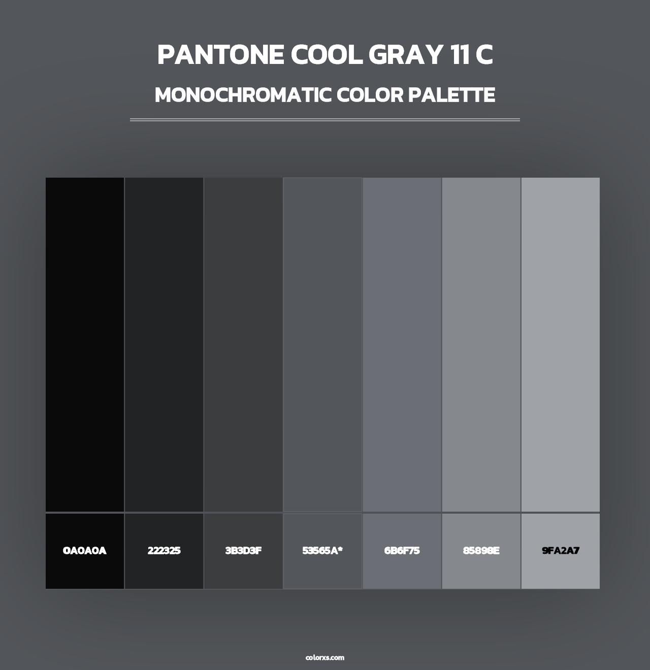 PANTONE Cool Gray 11 C - Monochromatic Color Palette