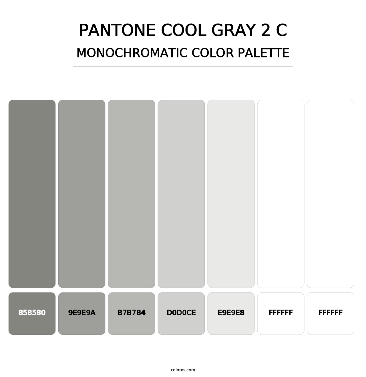PANTONE Cool Gray 2 C - Monochromatic Color Palette